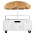 Vendi Fiberglass Shaved Ice Cart