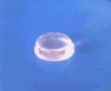 1000 Clear Rubber Bumpons,Adhesive Rubber Pads SBU530 Made in USA