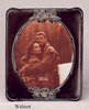 Antique Picture Frames Oval