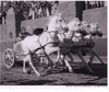 Ben-Hur 1959 Turner Entertatment Photo 8" X 10"