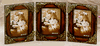 BrownTriple Picture Frame