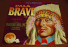 Pala Brave Brand Orange Lable