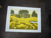 rolling hill limited edition signed print