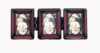 Triple Picture Frame 