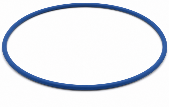 Filter O-Ring for the Aqua Ultraviolet Ultima II Filter - A50055