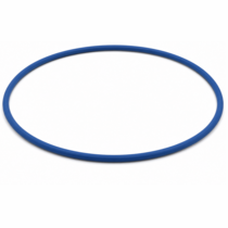 Filter O-Ring for the Aqua Ultraviolet Ultima II Filter - A50055
