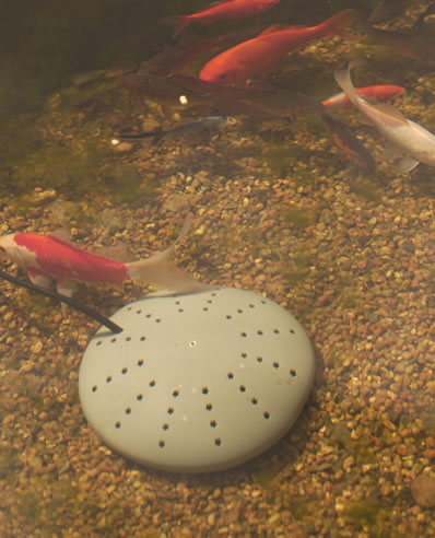 Thermo-Pond Perfect Climate 300W Submersible Pond Heater Deicer