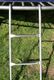 2 Step Trampoline Ladder