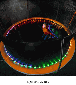 Trampoline Lights