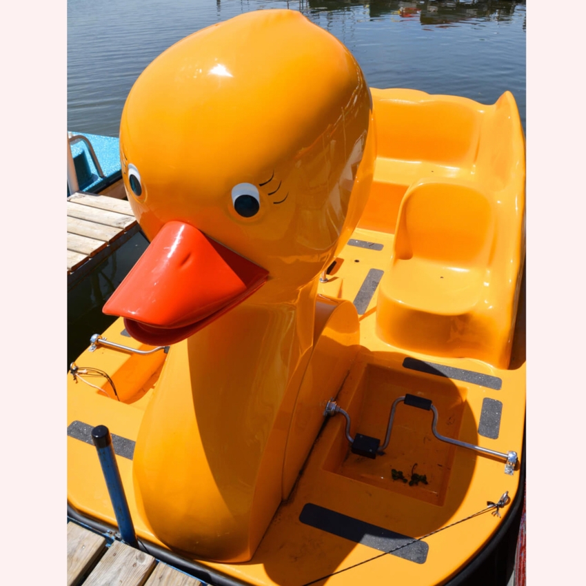 Big Duck Pedal Boat
