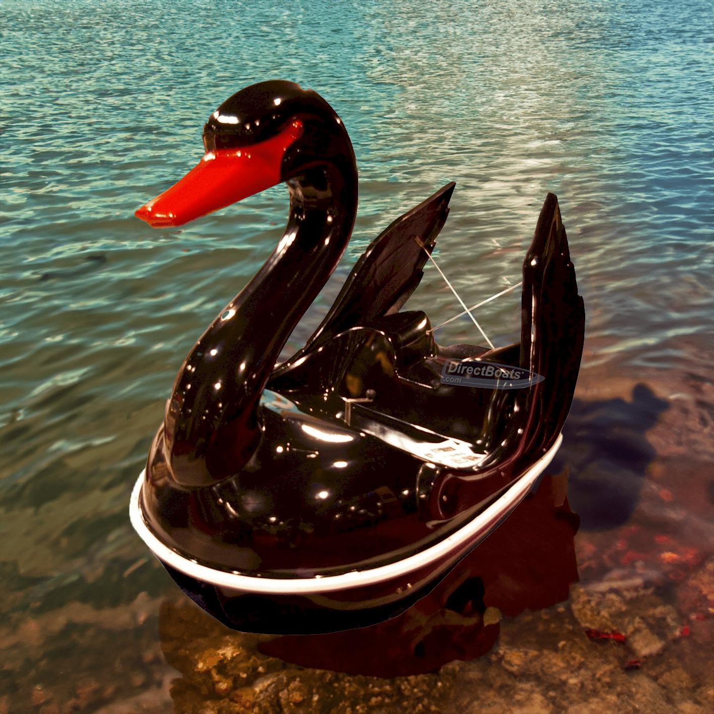 Black Swan Pedal Boat