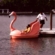 Pink Flamingo Pedal Boat