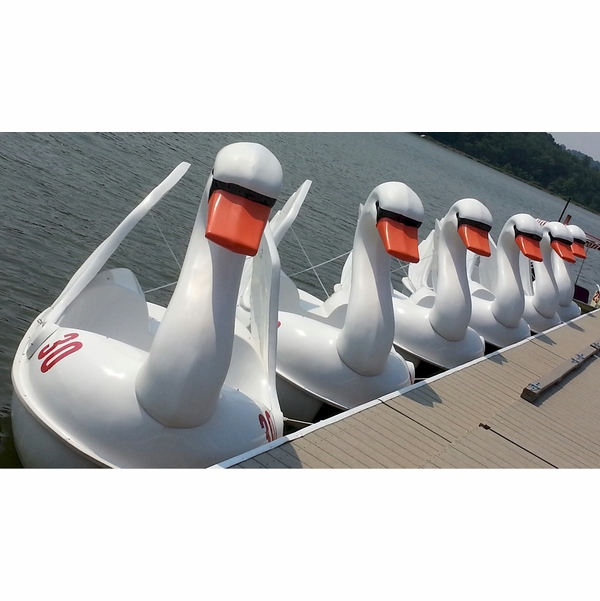 Swan Pedal Boat