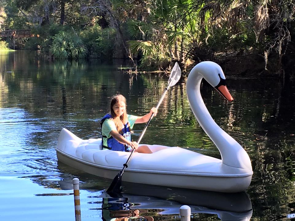 Sun On The Swan Kayak