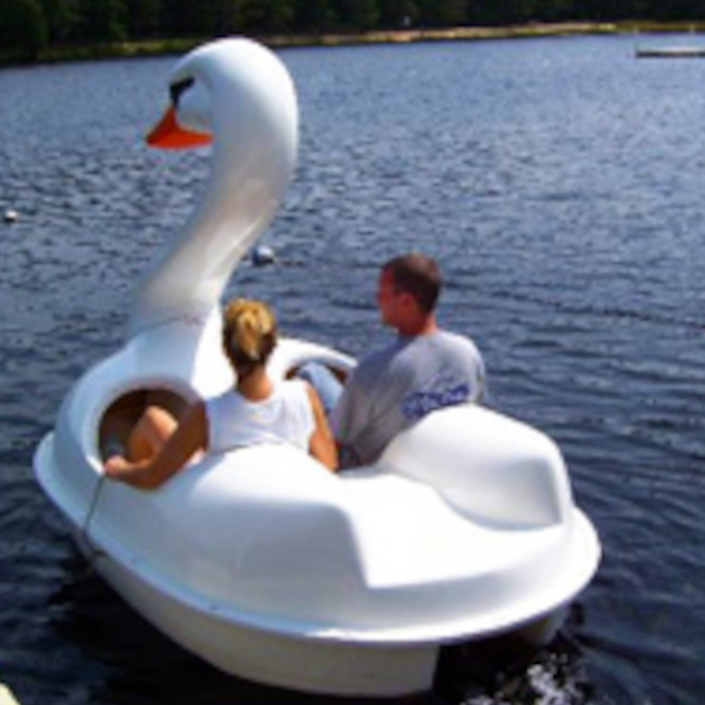 Swan Pedal Boat
