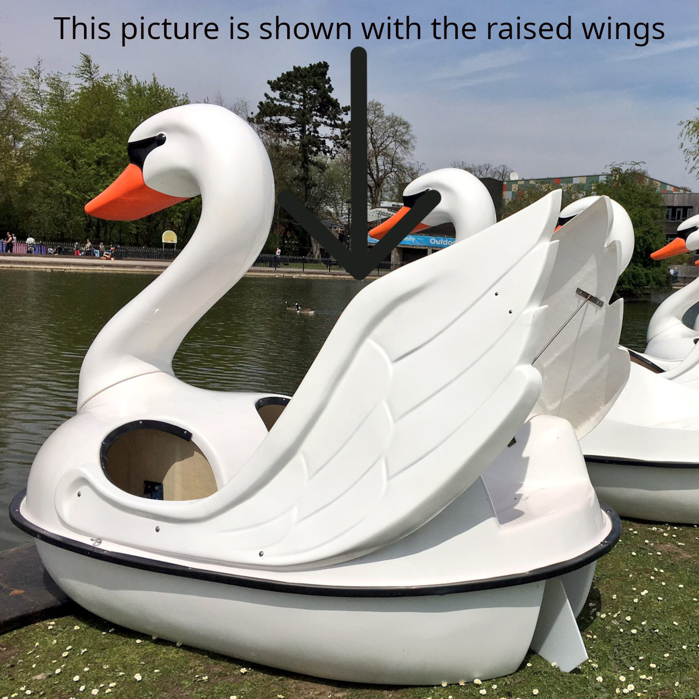 Swan Pedal Boat