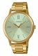 Men's Casio Stainless Steel Band / One-touch 3-fold Clasp Band Watch MTPE600G MTP-E600G-9B