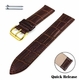 Steel and Leather Replacement Watch Band Fits Citizen BM8242-08E E101-S015588