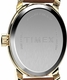 Women's Cavatina 18mm Gold-Tone Oval Case Brown Leather Strap Watch TW2W82500
