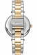 Women's DKNY Essential Logo Two tone Stainless Steel Watch DK1L041M0085