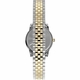 Women's Main Street 25mm Two-Tone Mother-of-Pearl Dial Stainless Steel Watch TW2W35300