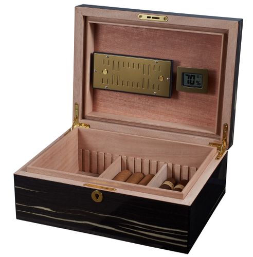 Visol Remo Polished Ashburl Wood Locking Humidor