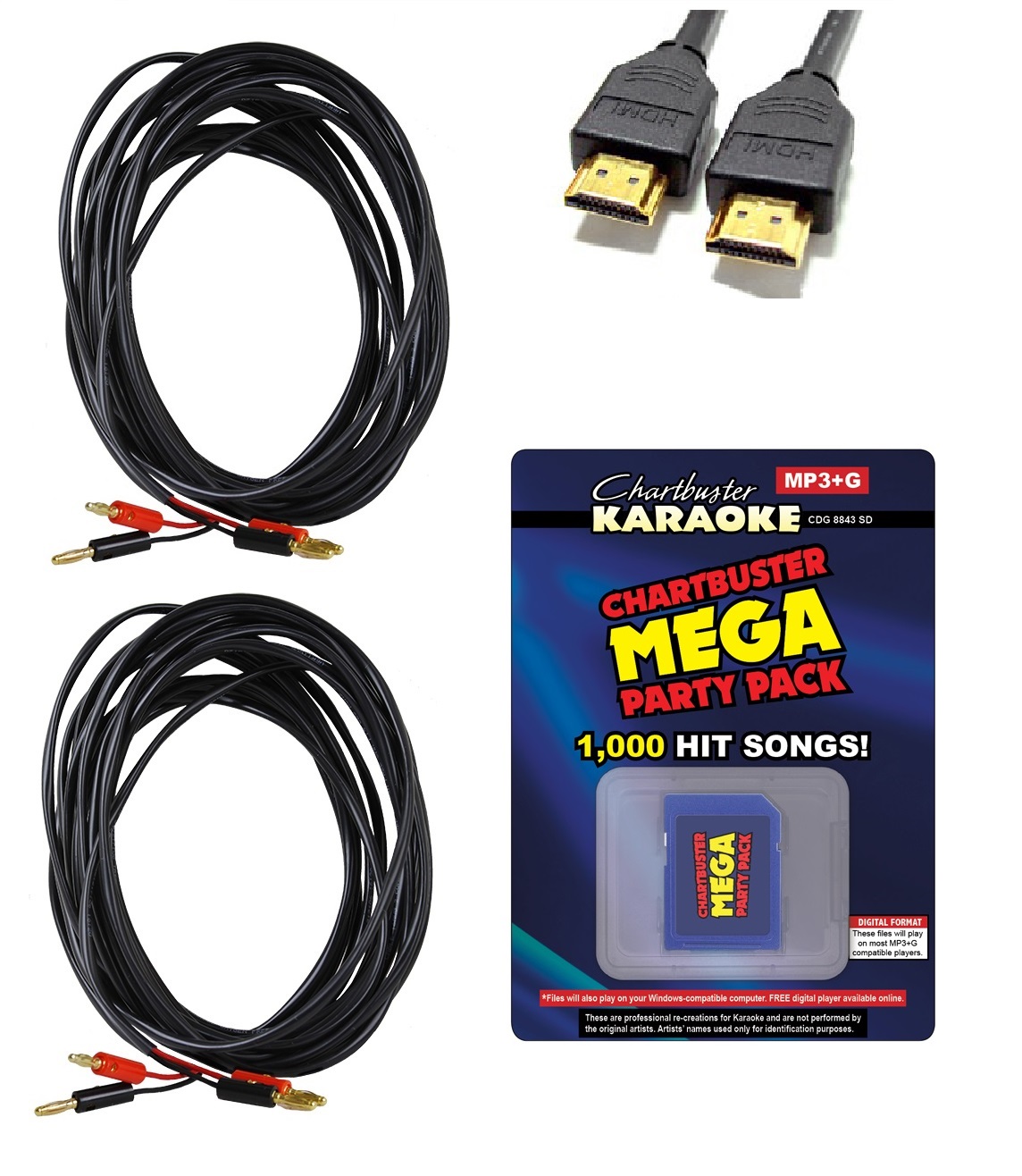 Acesonic KOD6000 Pro Dual Hard Drive Karaoke Player w/ AM200 960W