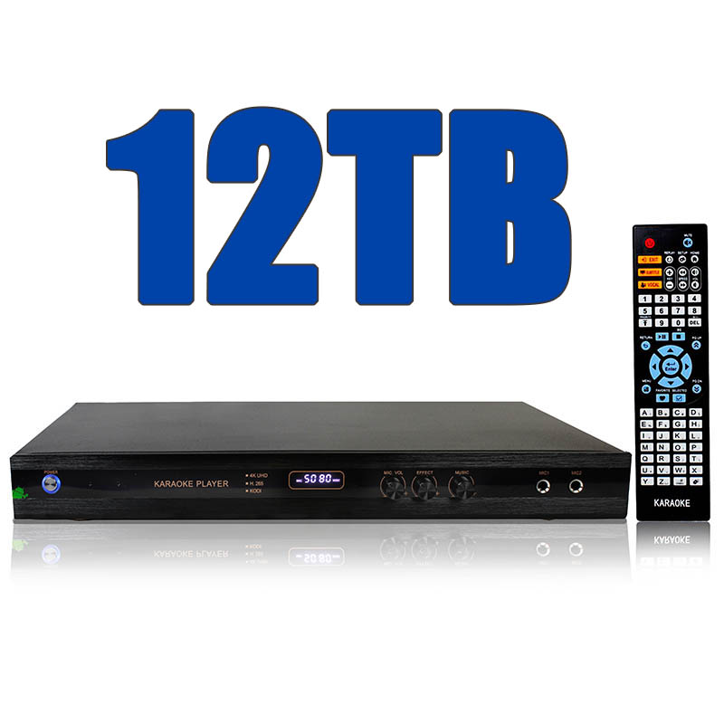 Acesonic KOD6800 Dual Hard Drive Multimedia Karaoke Player 12TB Chinese