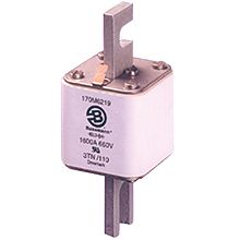 Bussmann 170M5240 - Fuse 315A 1250V 2Kn/110 Ar Cu