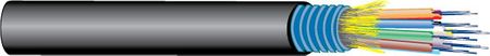 West Penn Wire WP9C241T -12F 50 OM3 IN/OUT OFNP ARMOR, 1 FT.