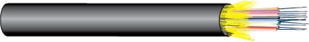 West Penn Wire WP9C611T -24F 50/125UM OM3 IN/OUT OFNP, 1 FT.