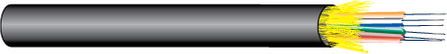 West Penn Wire WP9E045T -6F 50/125UM OM4 IN/OUT OFNP, 1 FT.