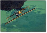 Barnstormer by K. Price Randel