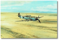 Desert Warrior by Robert Taylor (Me109)