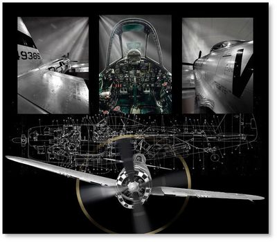 P-47 Thunderbolt by Larry McManus