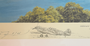 Remarque