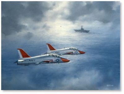 Point Option by R.G. Smith (T-45 Goshawk)