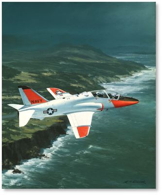 T-45 Over the Coast by R.G. Smith