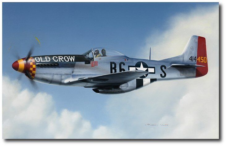 The Old Crow of Leiston by Darrell White (P-51 Mustang)