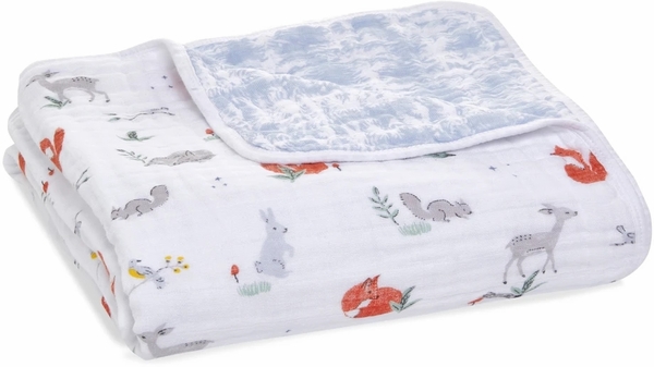 Aden + Anais Classic Dream Blanket - Naturally