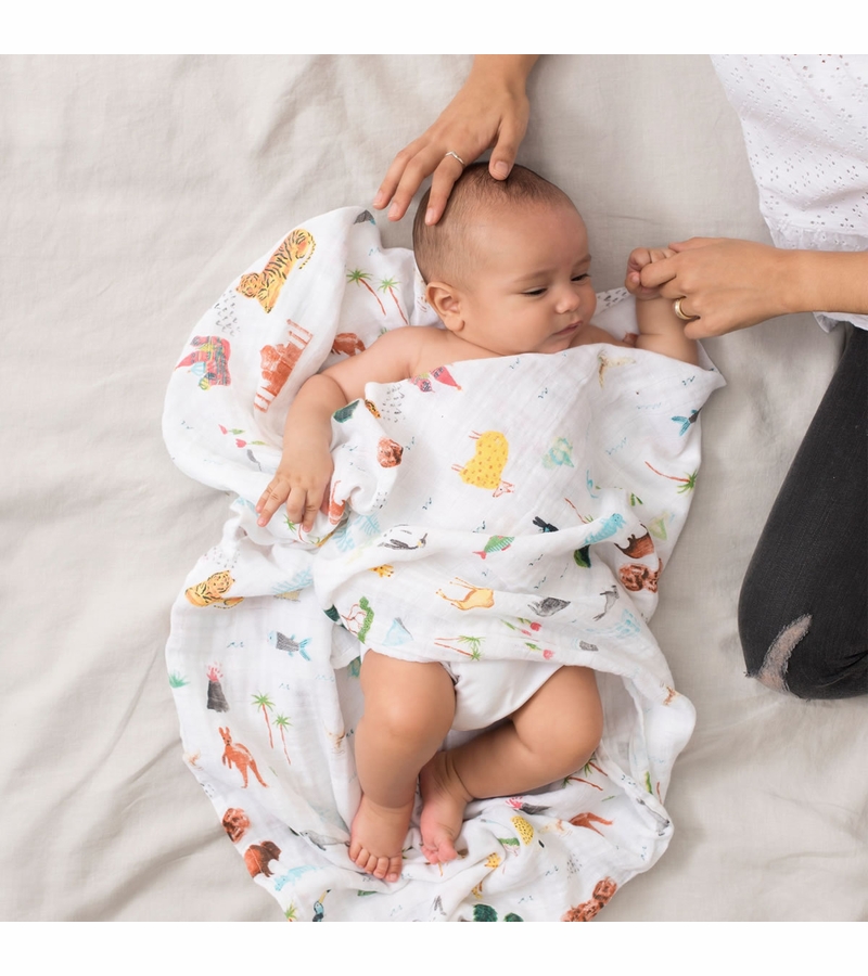 Aden + Anais Classic Swaddle Wraps, 4 Pack Around the World