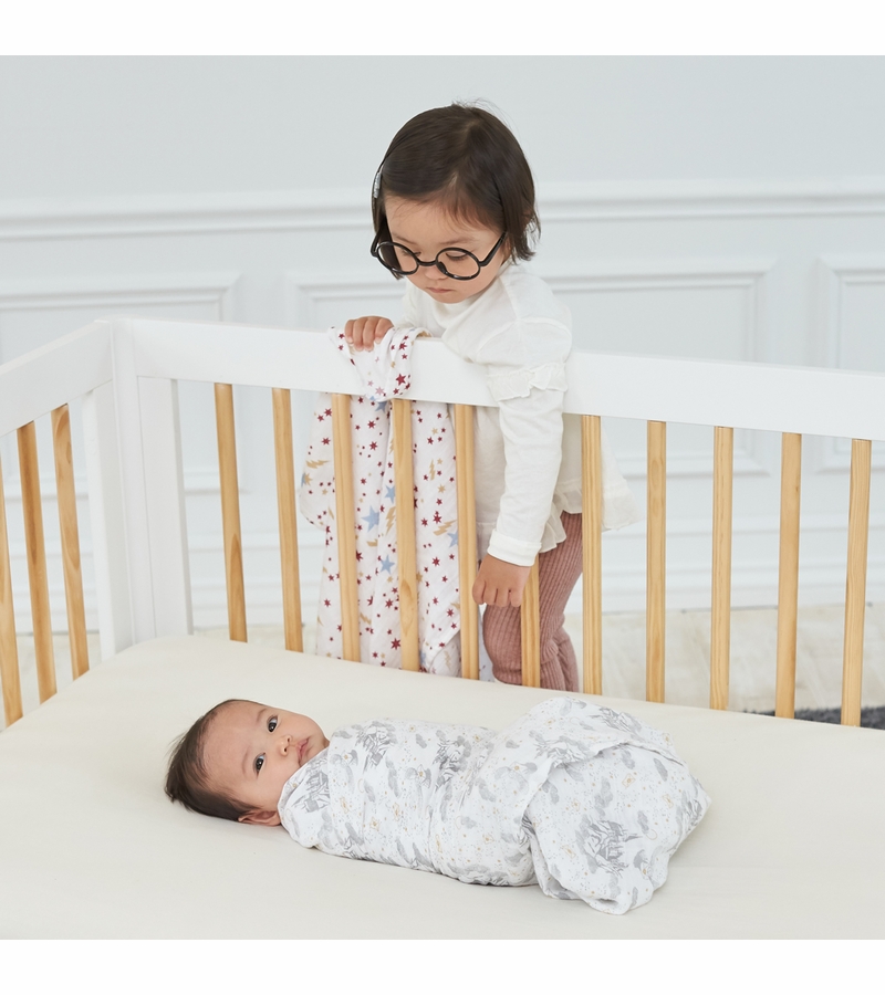 Aden + Anais Classic Swaddle Wraps, 4 Pack Harry Potter Iconic