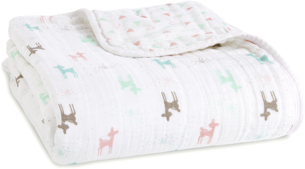 Aden + Anais Classic Dream Blanket Camp Girl