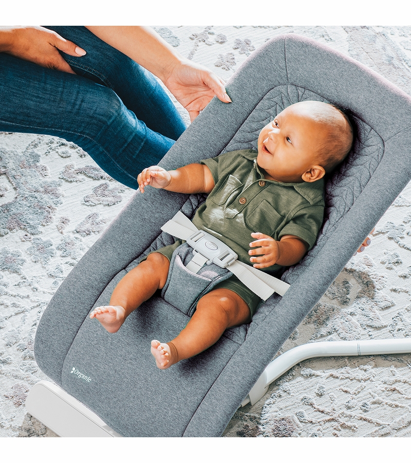 Chicco EMotion AutoGlider & Bouncer Grey