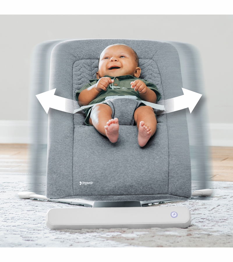 Chicco EMotion AutoGlider & Bouncer Grey