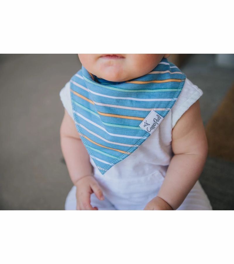 Copper Pearl Baby Bandana Bibs, 4 Pack Bruno