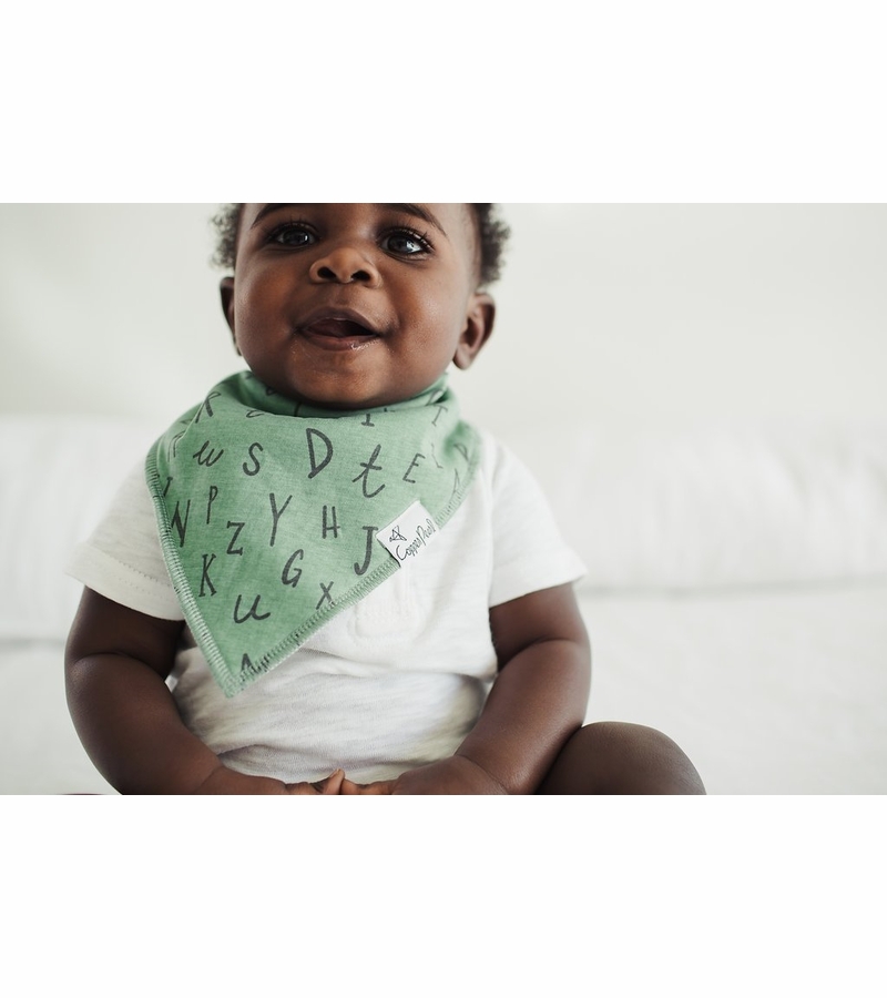 Copper Pearl Baby Bandana Bibs, 4 Pack Chip