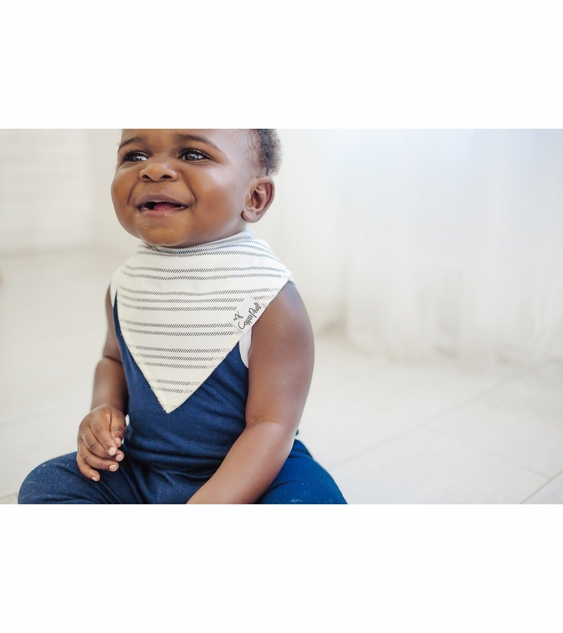 Copper Pearl Baby Bandana Bibs, 4 Pack Chip