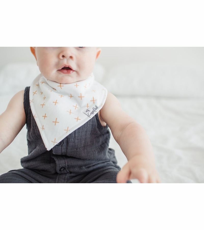 Copper Pearl Baby Bandana Bibs, 4 Pack Chip