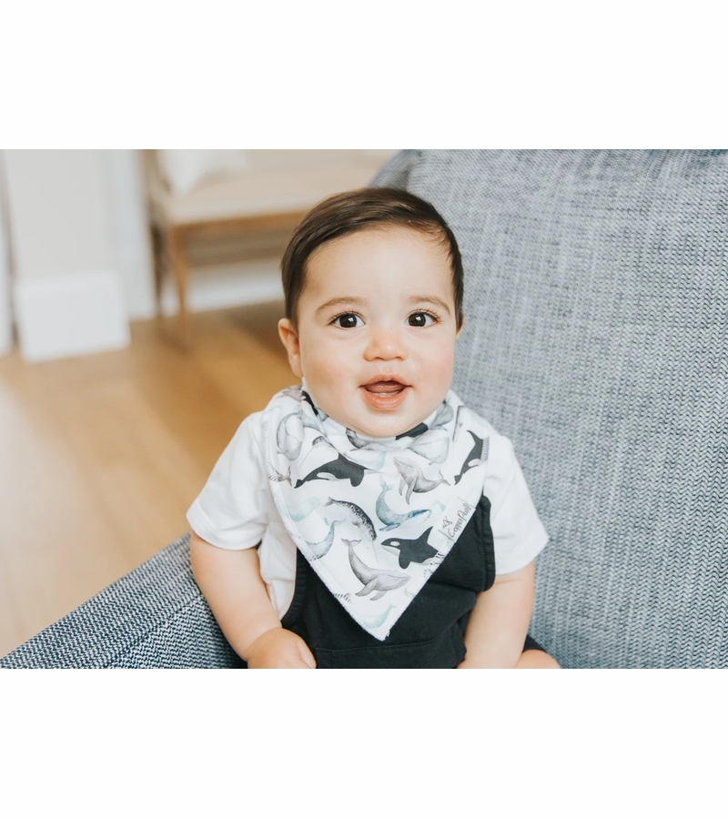 Copper Pearl Baby Bandana Bibs, 4 Pack Kai